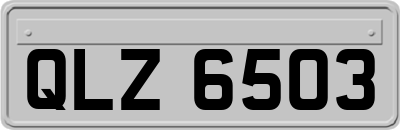 QLZ6503