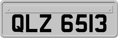 QLZ6513