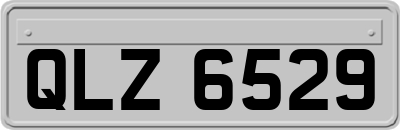 QLZ6529