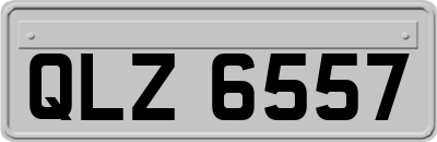 QLZ6557