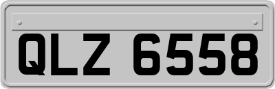 QLZ6558