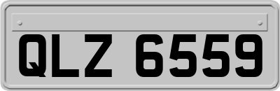 QLZ6559