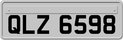 QLZ6598