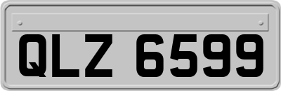 QLZ6599