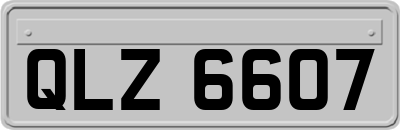 QLZ6607