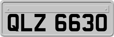 QLZ6630