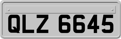 QLZ6645