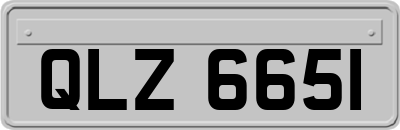 QLZ6651