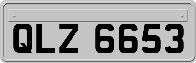 QLZ6653