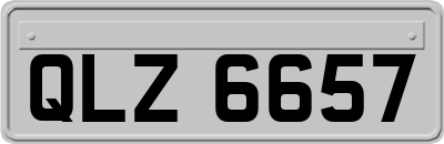 QLZ6657