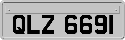 QLZ6691