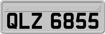 QLZ6855