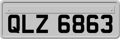 QLZ6863