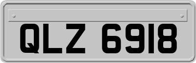 QLZ6918