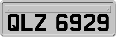 QLZ6929