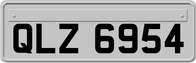 QLZ6954