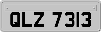 QLZ7313