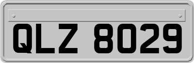 QLZ8029