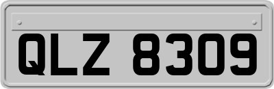 QLZ8309