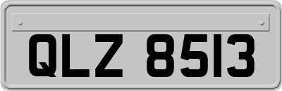 QLZ8513