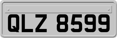 QLZ8599