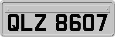 QLZ8607