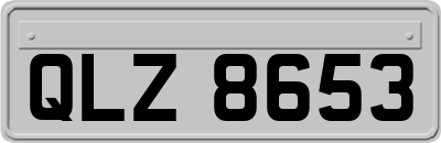 QLZ8653