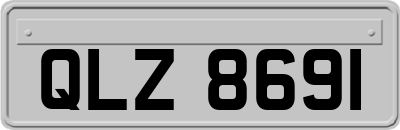 QLZ8691