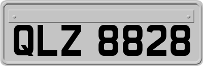 QLZ8828