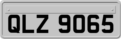 QLZ9065