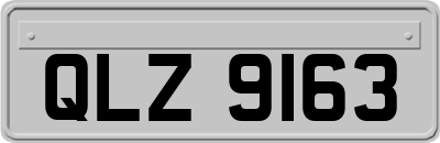 QLZ9163