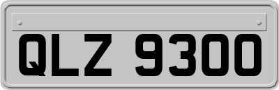 QLZ9300