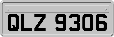 QLZ9306