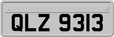 QLZ9313