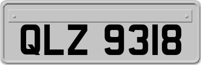 QLZ9318