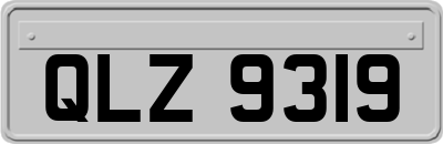 QLZ9319