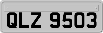 QLZ9503