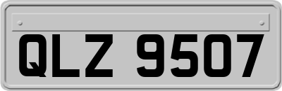 QLZ9507