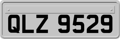 QLZ9529