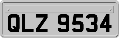 QLZ9534