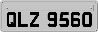 QLZ9560