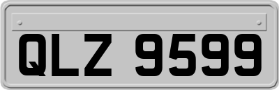 QLZ9599