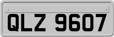 QLZ9607