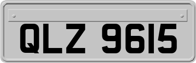 QLZ9615