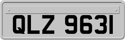 QLZ9631