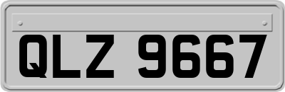 QLZ9667