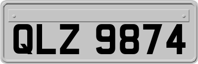 QLZ9874