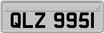 QLZ9951