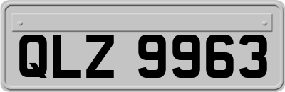 QLZ9963