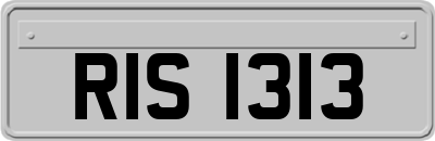 RIS1313